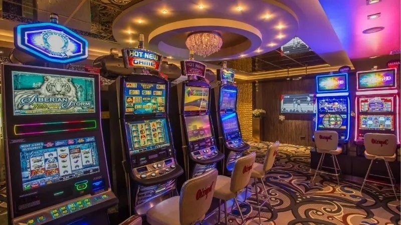 Giao diện người dùng và trang web EE88