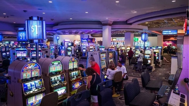 Tổng Quan Về Vsbet