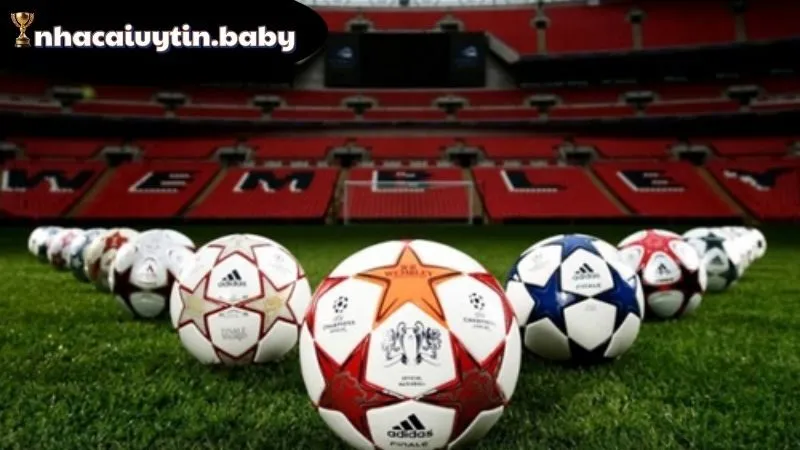 Các sản phẩm cá cược nổi bật