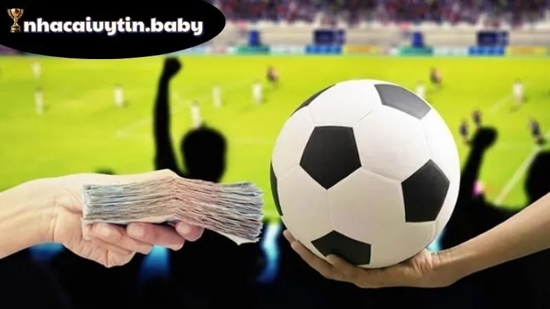 Dịch vụ và ưu đãi tại Moto88