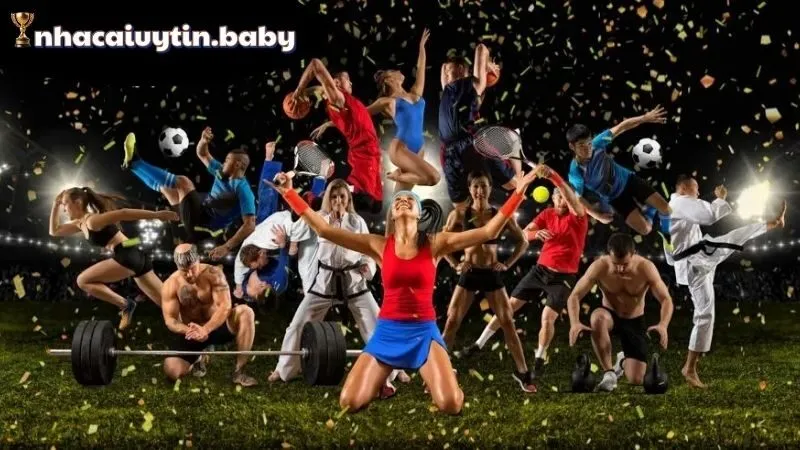 Chính sách và dịch vụ Rubik88