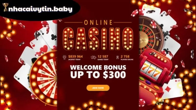 Tổng quan về SEN88